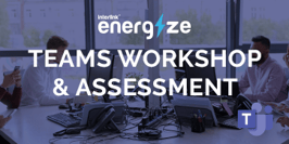 Teams Workshop & Assessment<br><br>