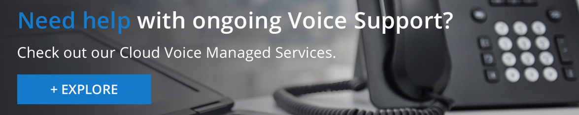 Cloud Voice Managed Services