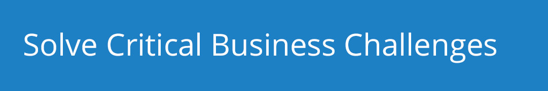 Business Challenges