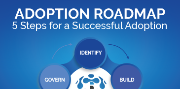 Adoption Roadmap