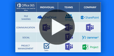 Combating O365<br>Application Overload